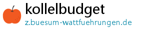 kollelbudget